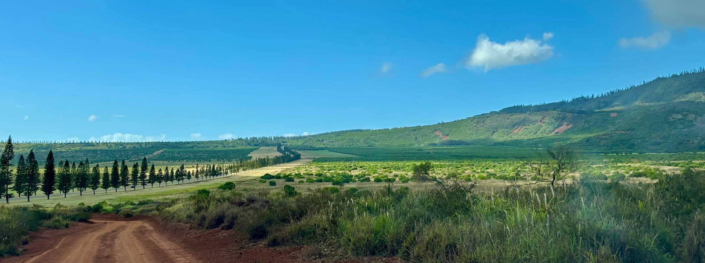 Hero Image of landscape Good Living Home Repair